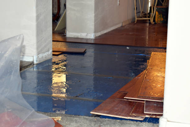Professional Sewage Cleanup technician working in Blount, WV